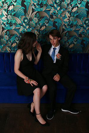 PROM 2019-8695