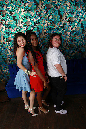PROM 2019-9029