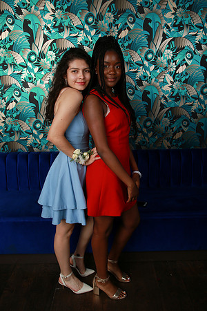 PROM 2019-9043