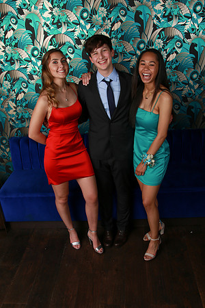 PROM 2019-8723