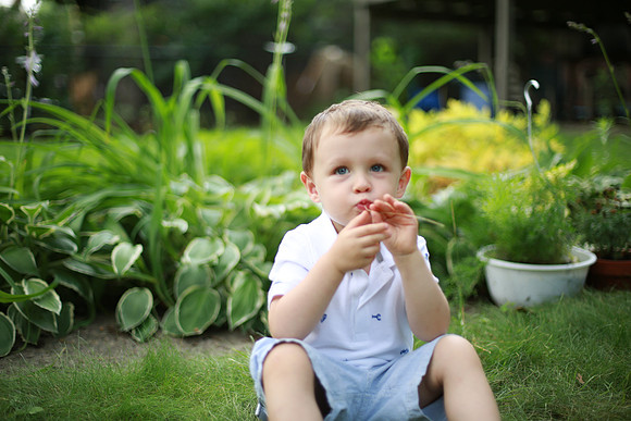 2L5A6229