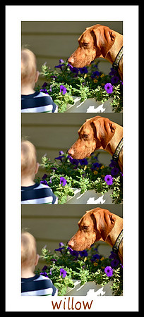 Picnik collage
