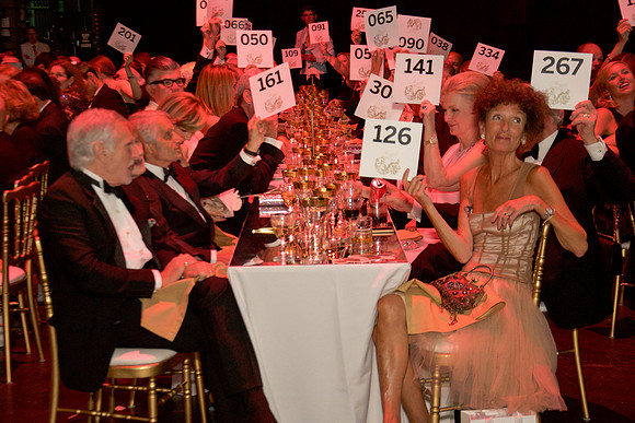 AF GALA 2018-2503