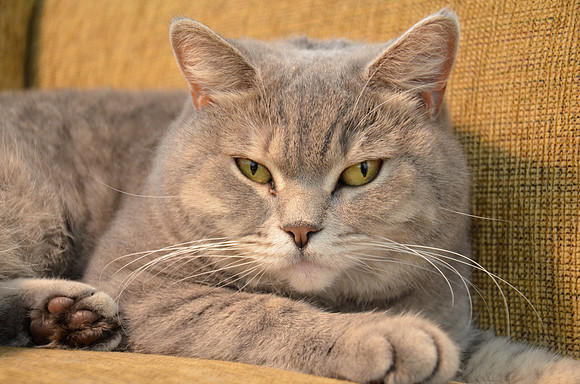 DSC_7365