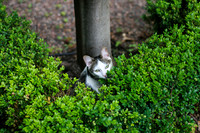 LAURE-IMG_4949