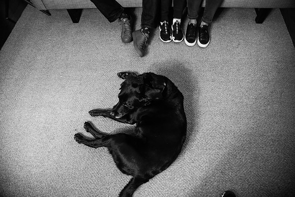 RESHMA ORIGS B+W-8620