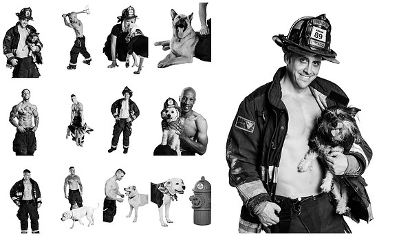 IGNITE CLEAN CUT OUTS Collage