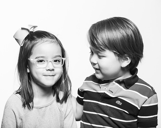 ADAMS SIBS-4530