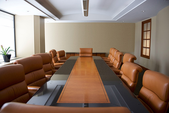 HOFELD conf room w 1 plant OPTIONS-1215