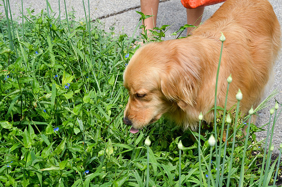 LUCY-DSC_6448