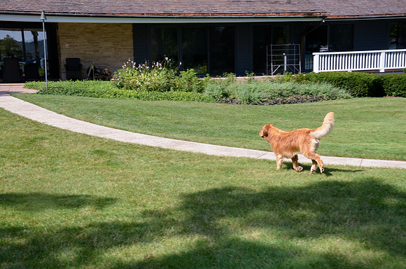 LUCY-DSC_7588