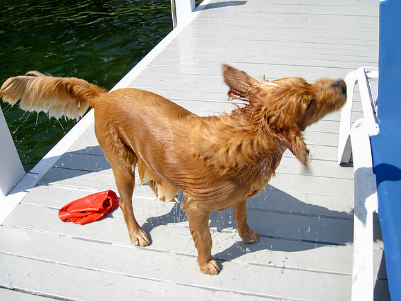 LUCY-IMG_2271