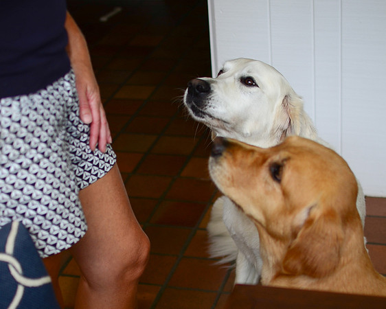 LUCY-DSC_7642-2