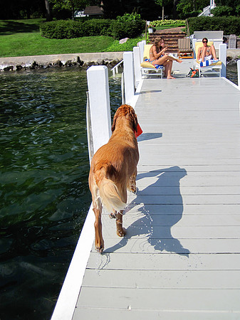 LUCY-IMG_2266