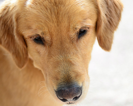 LUCY-DSC_7687-2