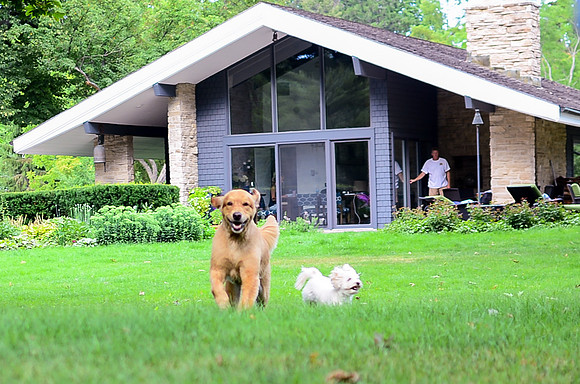 LUCY-DSC_8258-4