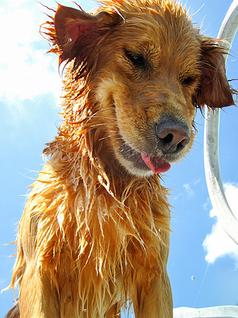 LUCY-IMG_2097