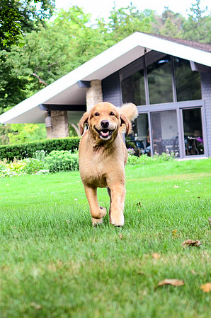 LUCY-DSC_8260-2