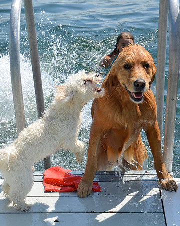 LUCY-DSC_7561-2