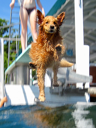 LUCY-IMG_2064-2