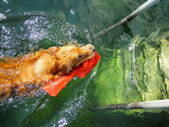 LUCY-IMG_2224