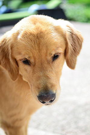 LUCY-DSC_7687